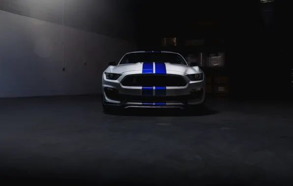 Picture Mustang, Ford, Shelby, Blue, White