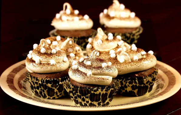 Picture chocolate, plate, cream, dessert, cupcakes, marshmallows, powder