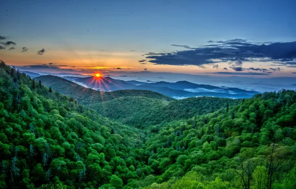 Forest, the sky, the sun, clouds, rays, mountains, dawn