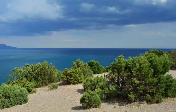 Picture sea, summer, the sky, nature, Bay, Russia, journey, Crimea