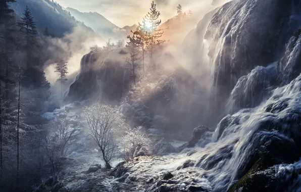Frost, water, the sun, light, trees, nature, river, waterfall