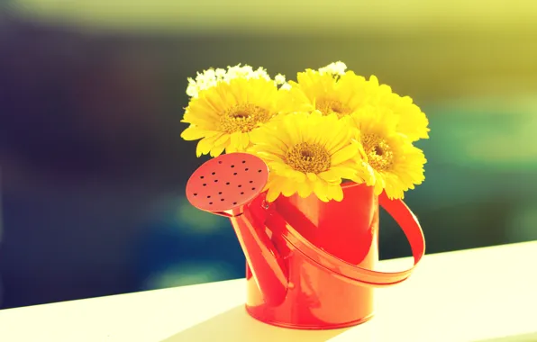 Flowers, bouquet, lake, yellow gerberas