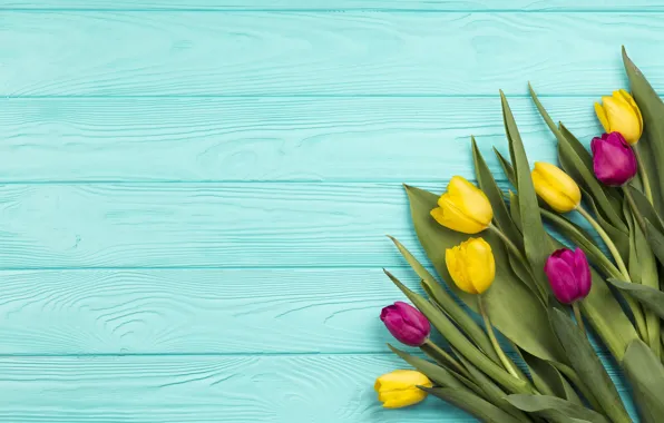 Flowers, tulips, yellow, wood, flowers, tulips, spring, purple
