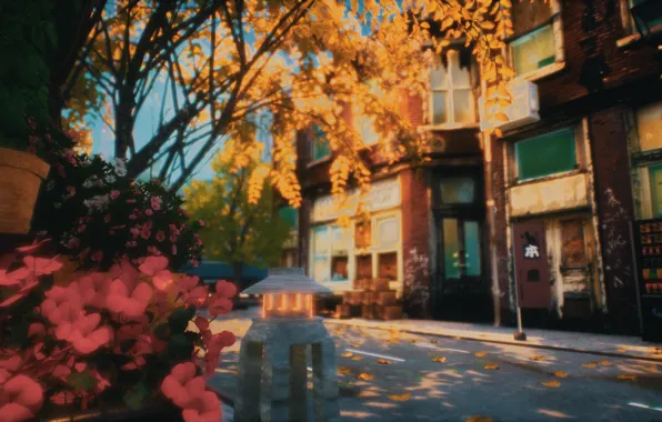 Autumn, street, signs, machines