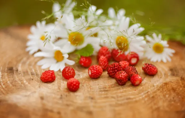 Picture berries, chamomile, strawberries