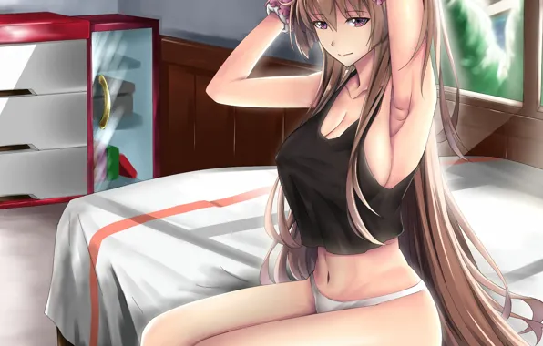 Girl, sexy, lingerie, cleavage, panties, long hair, brown hair, boobs