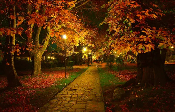 Night, Autumn, Trees, Lights, Park, Fall, Foliage, Track