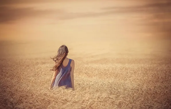 Picture field, summer, girl, endless