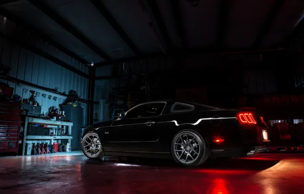 Picture light, mustang, ford, black, rear view, foot, forgery