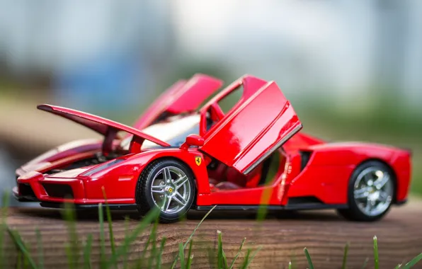 Picture macro, toy, machine, Ferrari Enzo, model