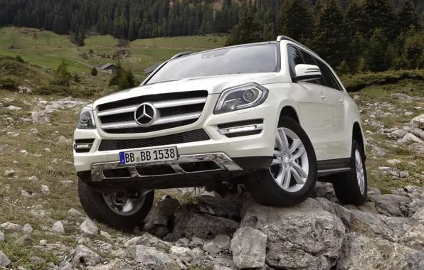 Forest, white, stones, Mercedes-Benz, jeep, SUV, 500, the front