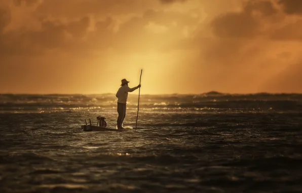 Sea, nature, the old man