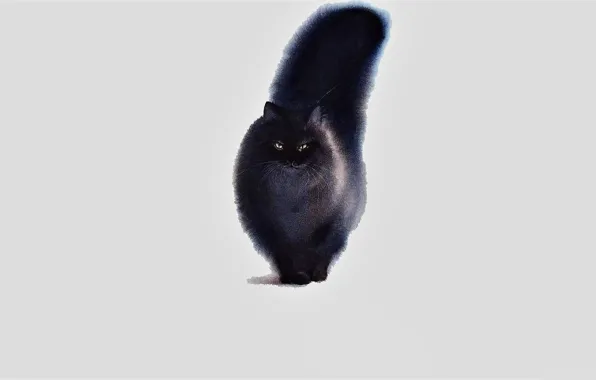 Picture Black, Figure, Look, Cat, Cat, Art, Animal, Tail