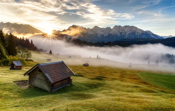 Grass, trees, mountains, nature, fog, house, morning, Germany