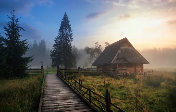 Picture field, fog, ate, house, the bridge