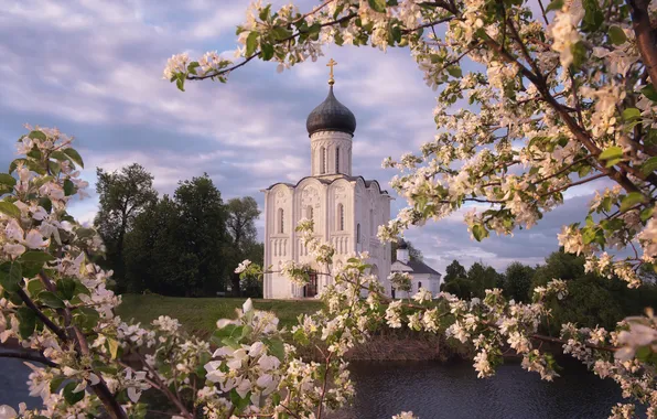 Church, Cathedral, temple, Apple blossoms, Igor Abroskin