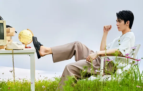 Grass, table, meadow, China, guy, actor, globe, kosmeya