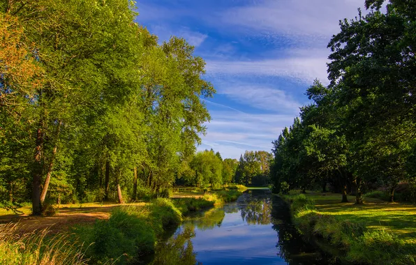 Greens, trees, sunset, river, track, channel, river