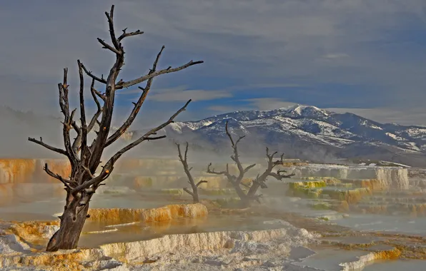 The sky, mountains, tree, cascade, geyser