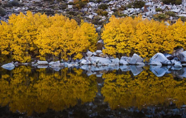 Autumn, trees, lake, reflection, stones, shore, yellow, slope