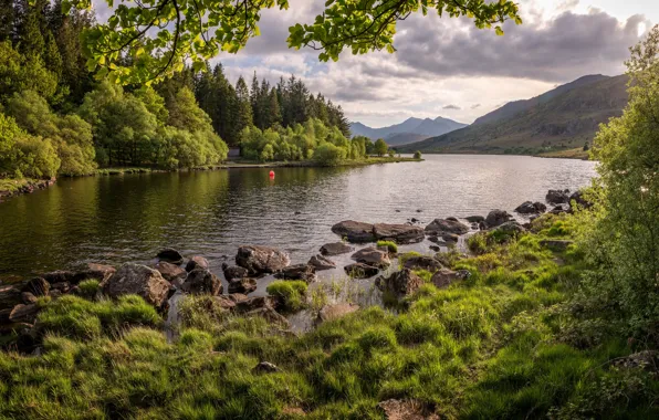 Forest, the sky, grass, water, trees, mountains, nature, river