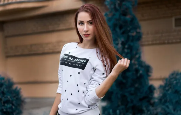 Picture look, pose, model, portrait, makeup, hairstyle, brown hair, blouse