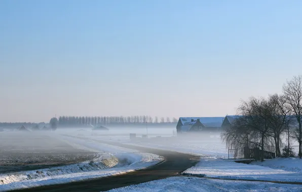 Picture winter, road, field, fog