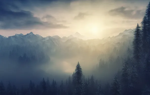 Winter, frost, forest, the sky, the sun, snow, mountains, nature