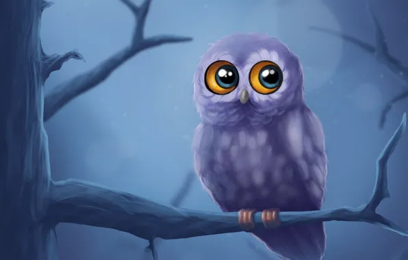 Picture trees, night, branches, owl, art
