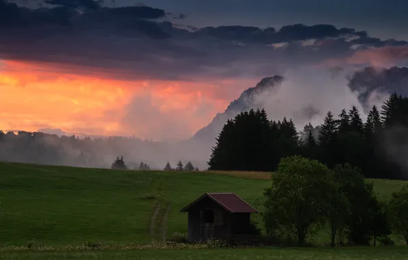 Field, forest, the sky, clouds, trees, sunset, mountains, clouds