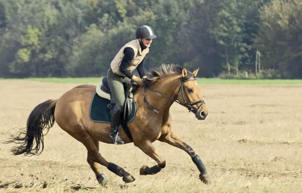 horse-and-rider-running