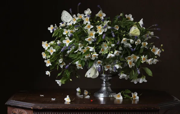 Picture flowers, the dark background, bouquet, still life