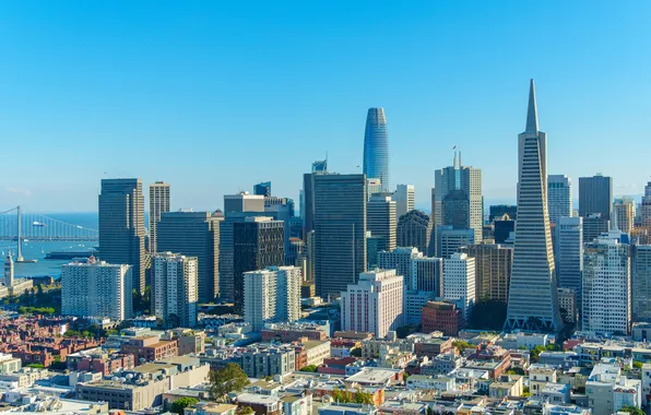 The city, San Francisco, USA, skyscrapers