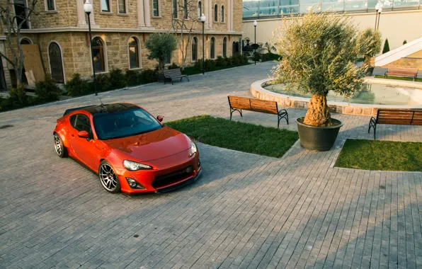 Picture tree, top, Toyota, GT86, Rocket, Bunny