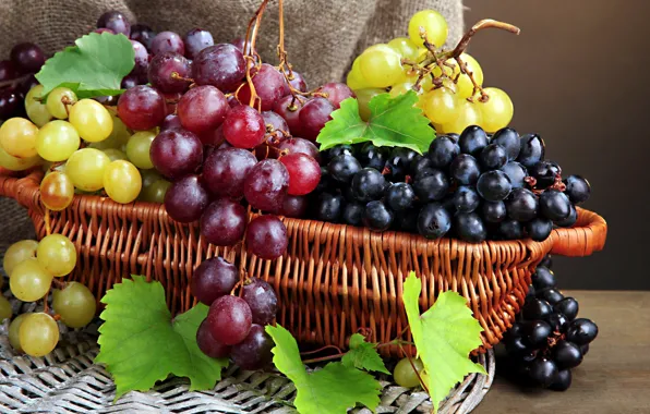 Berries, grapes, bunches