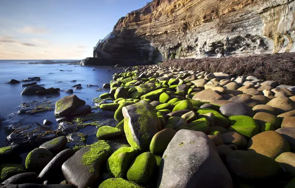 Picture sea, landscape, nature, stones, rocks, moss