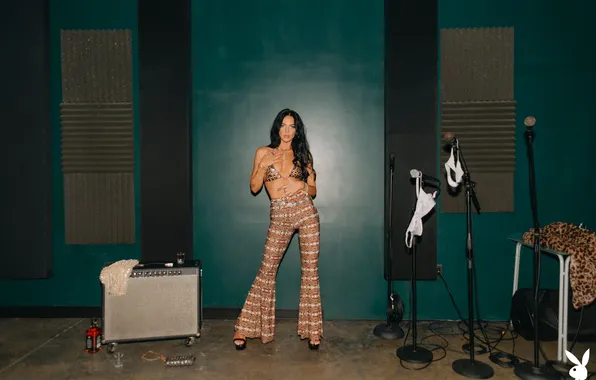 Model, pants, in full growth, searing brunette, bustier