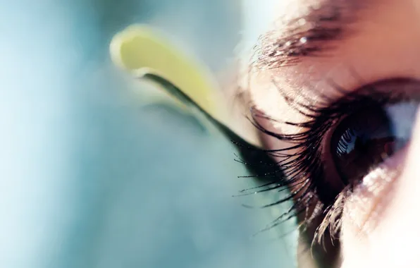 Look, macro, eyes, eyelashes