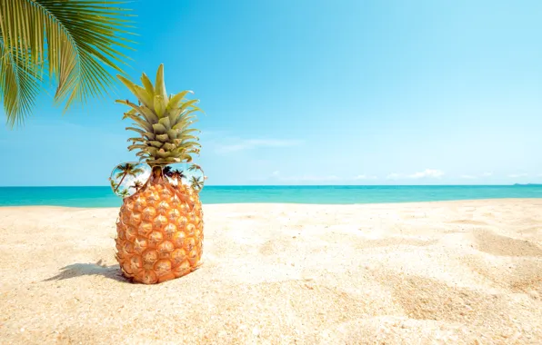 Sand, sea, beach, summer, the sky, palm trees, stay, shore