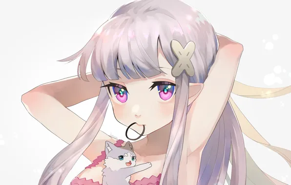 Cat, girl, Emilia, From scratch, Re: Zero Kara Hajime Chip Isek Or Seikatsu