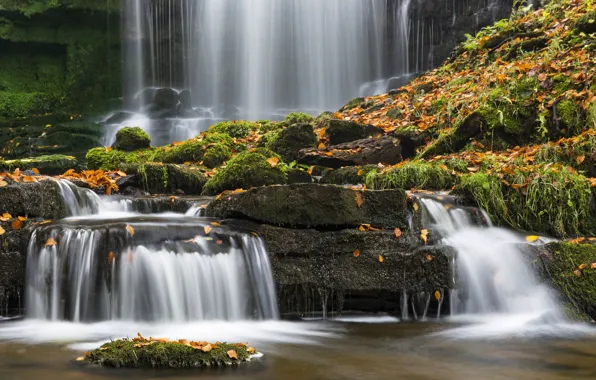 Picture autumn, leaves, stones, England, waterfall, moss, England, North Yorkshire