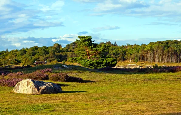 Field, forest, the sky, grass, trees, stone, house, Sweden