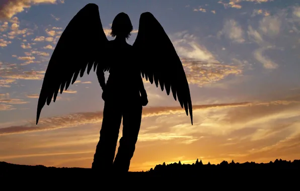 Picture sunset, Angel, silhouette