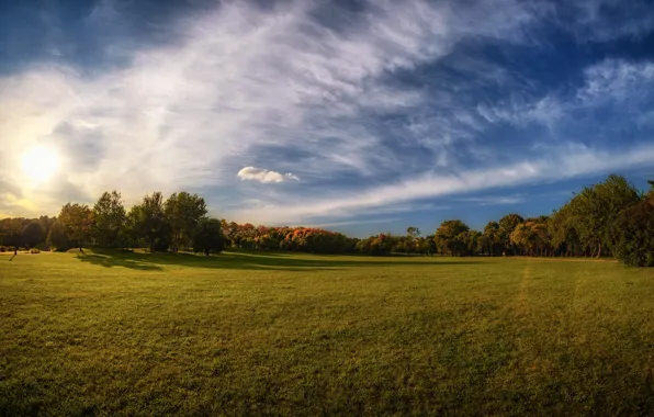 Field, the sky, grass, the sun, clouds, trees, Belarus, Minsk