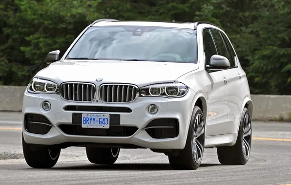 Road, white, trees, turn, highway, BMW, BMW X5