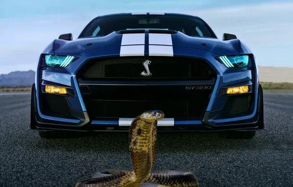 Background, fantasy, Cobra, ford