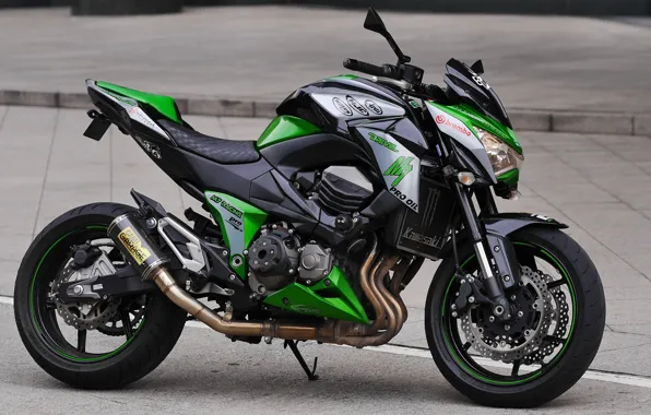 Picture motorcycle, Kawasaki, Monster, Z800