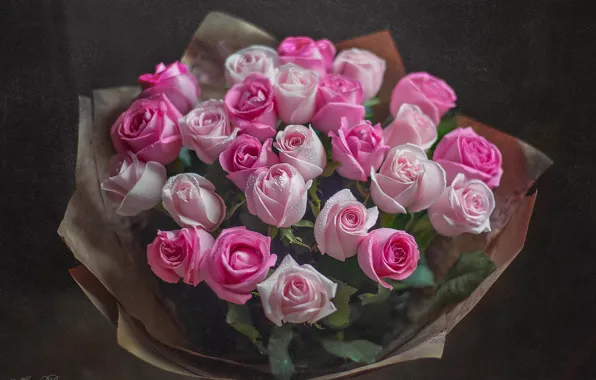 Drops, roses, bouquet, pink, buds, Marina Baccardi