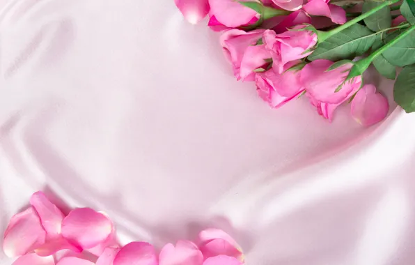 Flowers, roses, petals, silk, pink, buds, fresh, pink