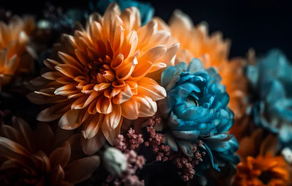 Picture Flowers, Digital Art, Chrysanthemum flowers, Digital flowers